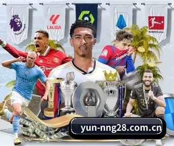 yun-nng28.com.cn APP
